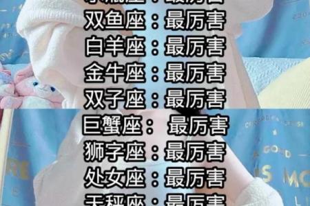 12是什么星座的
