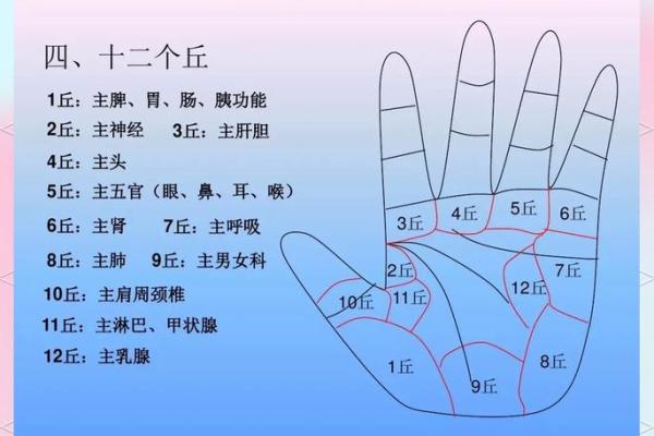 手型算命:土型手人的性格与命运 手型算命:土型手人的性格与命运