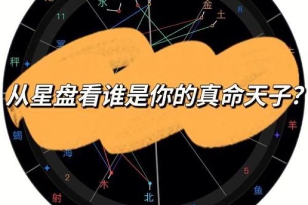 紫薇星盘看天盘还是地盘