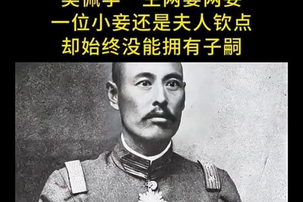 紫薇斗数吴佩孚 紫薇斗数吴佩孚