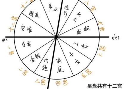 紫薇星盘看天盘还是地盘