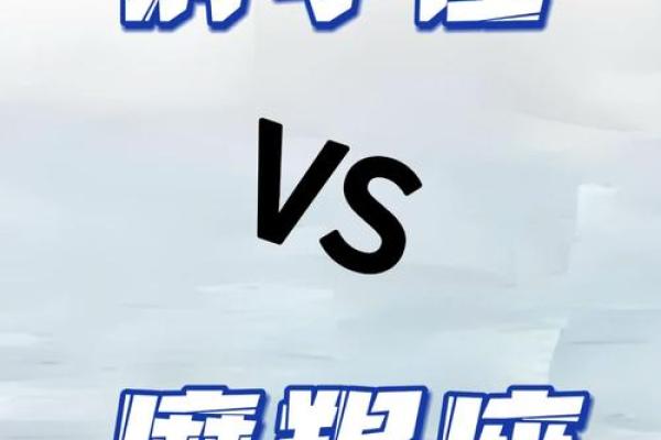 金牛座一区与射手座三区的星座配对