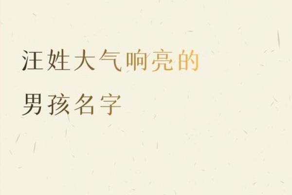 汪姓男孩名字大全-汪姓男孩起名字大全-汪姓名字大全姓名 汪姓男孩名字大全-汪姓男孩起名字大全-汪姓名字大全姓名