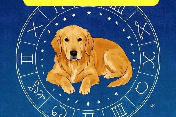 晚上十点出生的属狗男孩怎么取名,用什么字姓名 晚上十点出生的属狗男孩怎么取名,用什么字姓名