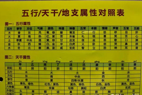 算命中等偏上是中等吗