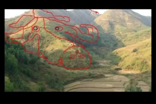 祖坟风水不注意对后代的影响