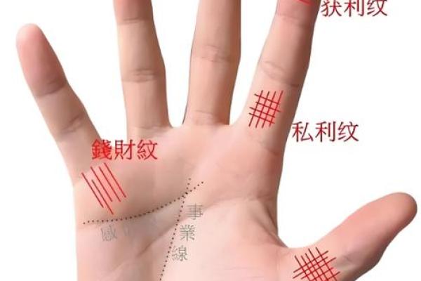 女性怎么看手相算命 手掌绵软厚实命中带有富贵