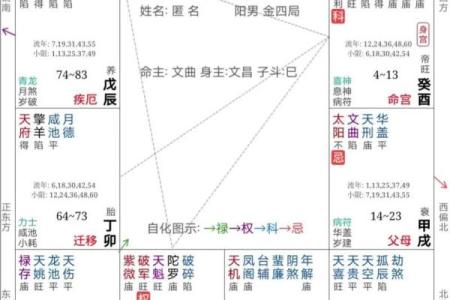 紫微斗数三忌反为吉 紫微斗数的忌星是什么？