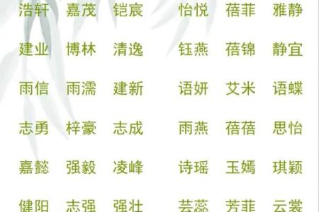 2019年5月1号丑时出生的男孩起名时要注意什么姓名