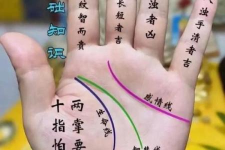 指纹算命 十指指纹算命查询