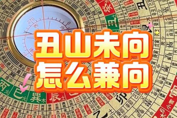 辛乙兼酉卯风水介绍 丁山兼未风水 辛乙兼酉卯风水介绍 丁山兼未风水