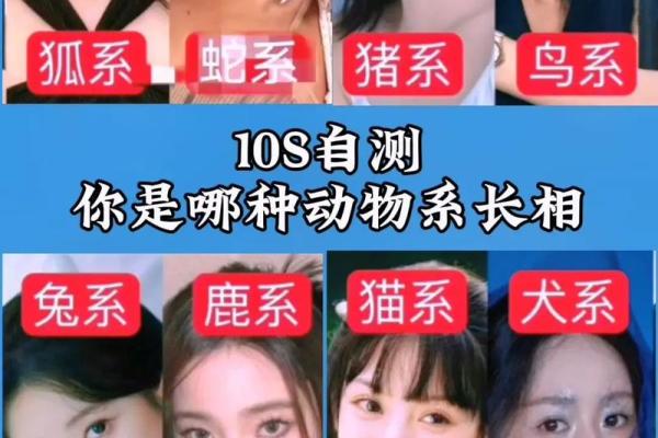 根据名字测试你是什么动物 本命动物测试 根据名字测试你是什么动物 本命动物测试