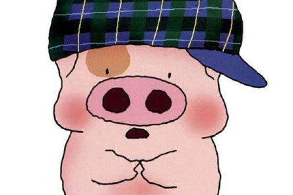 这些星座男都是有梦想的麦兜族