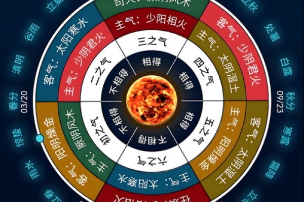 八字疾病综合论断