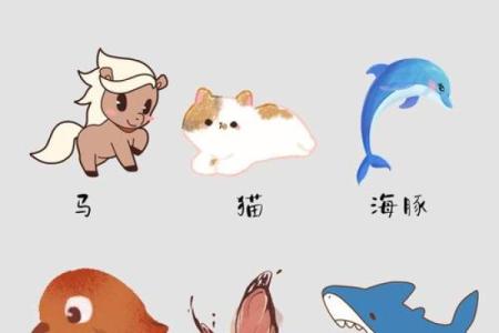 根据名字测试你是什么动物  本命动物测试