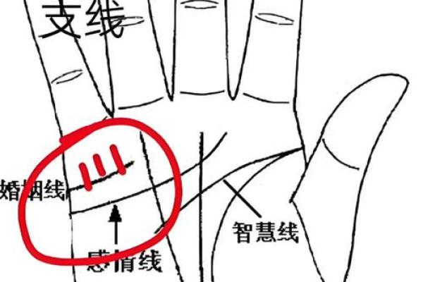男人左手手纹算命图解婚姻线 感情线预示感情状况