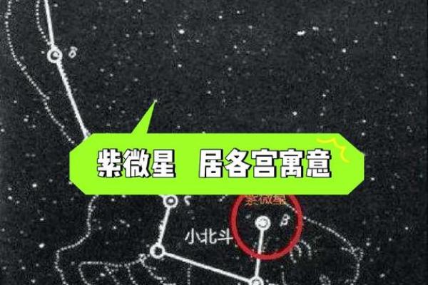 紫薇斗数紫微星位置咋确定 紫薇斗数紫微星位置咋确定
