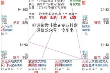 紫微斗数与四柱八字共参