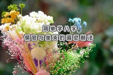 鱼游清波格女命  鬼谷子算命术白话解释