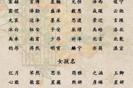 5月份出生的属猪男孩该怎么起名姓名