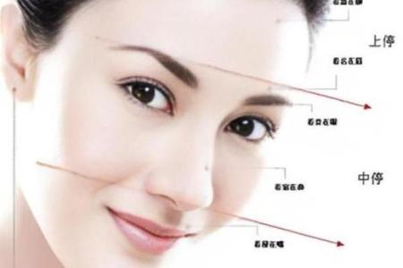 面相风水女人十大富贵眉毛你有吗