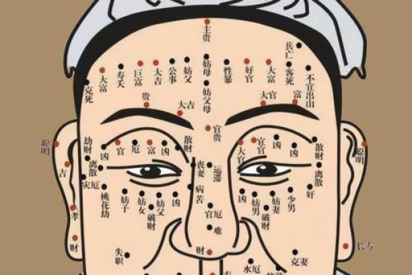 五官看面相算命图解男 男人五官面相大全