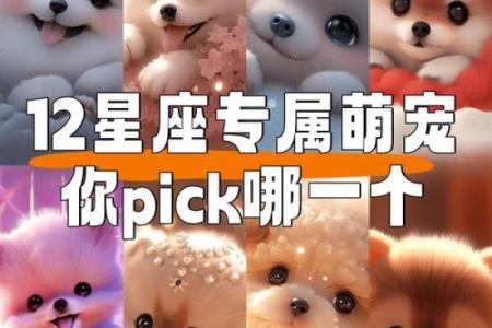 十二星座的坐骑