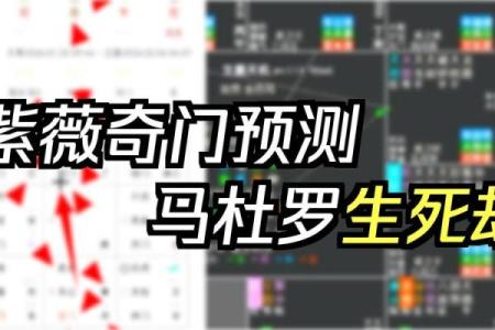 紫薇斗数看灾祸
