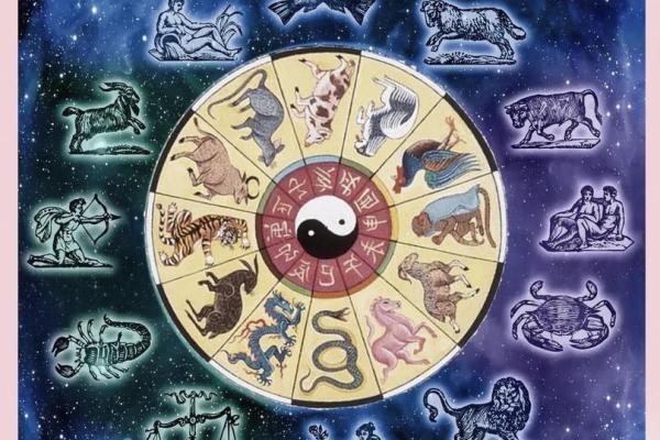 星座里面有苍蝇座吗 星座里面有苍蝇座吗