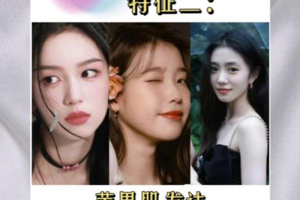 金牛座最喜欢哪个星座女生 金牛座最喜欢哪个星座女生