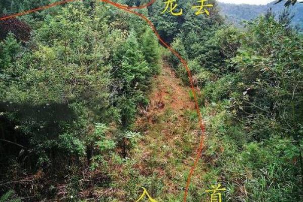 山的风水_每座山都有龙脉吗 山的风水_每座山都有龙脉吗