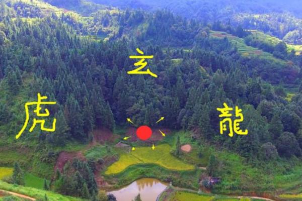 山的风水_每座山都有龙脉吗 山的风水_每座山都有龙脉吗
