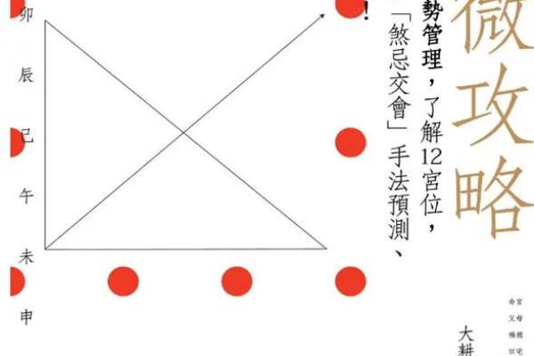 紫薇斗数案例书籍