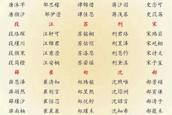 属猪巳时出生的男孩如何取名字，适合用什么字姓名