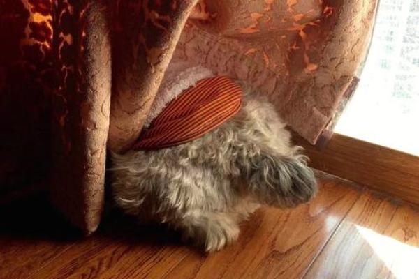 算命要我晒太阳