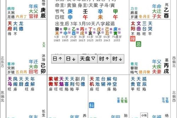 紫薇斗数适合怀孕