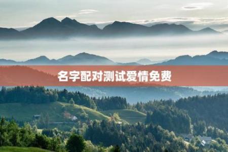 缘分测试姓名配对,姓名缘分婚姻配对测试