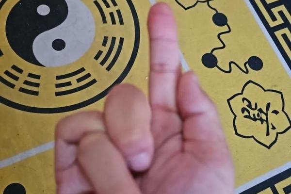 算命的手势,各种手势图片大全