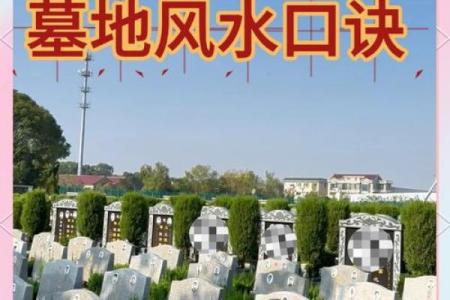 风水好的墓地