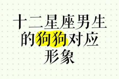 哪些狗狗属于你的星座？