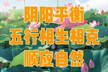 风水是什么_中国风水文化起源于什么