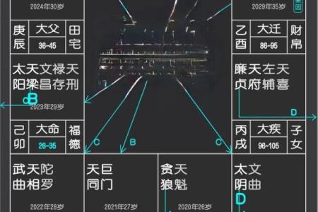 紫微斗数官禄宫详解，能否事业有成全看它