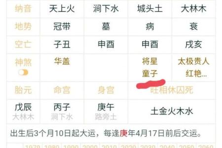 八字免费查真假童子,生辰八字怎么查童子