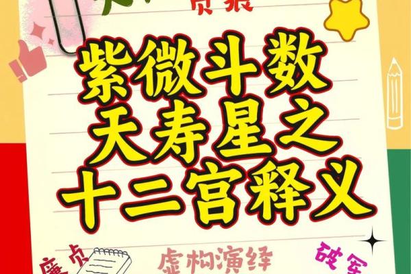 紫薇斗数能算什么