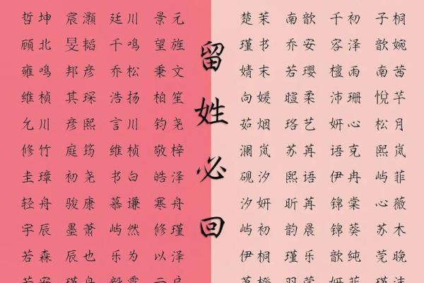 属兔酉时出生的男孩起名适合用什么字姓名