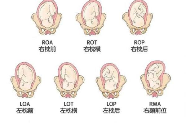胎记算命：最好胎记长什么部位