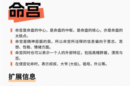 紫薇斗数和梅花易数哪个准