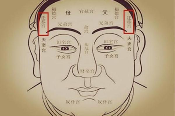 紫薇斗数什么看长相