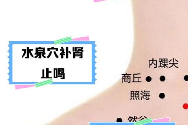 泉水在房子里的风水