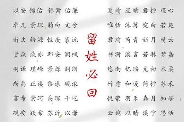 2019年3月25号辛时出生的男孩起名方法姓名